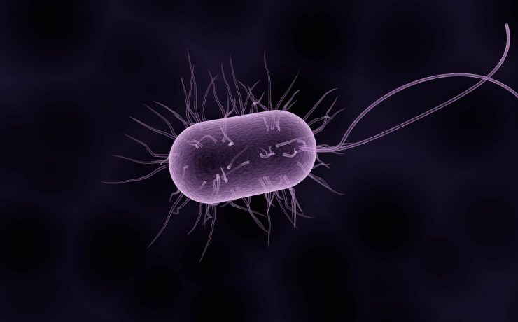 Transilvania Healing Centre, Medicina Bioelectromagnetica