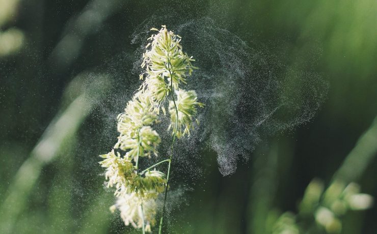 Transilvania Healing Centre, Medicina Bioelectromagnetica